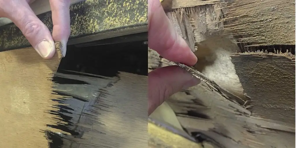 Bus Wood Veneer Paneling